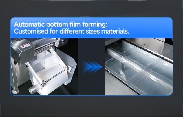 HVR-320A (Q) Mesin Kemasan Thermoforming Hualian untuk Kemasan Makanan
