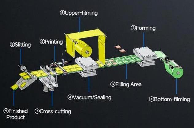 Mesin pengemasan thermoforming otomatis