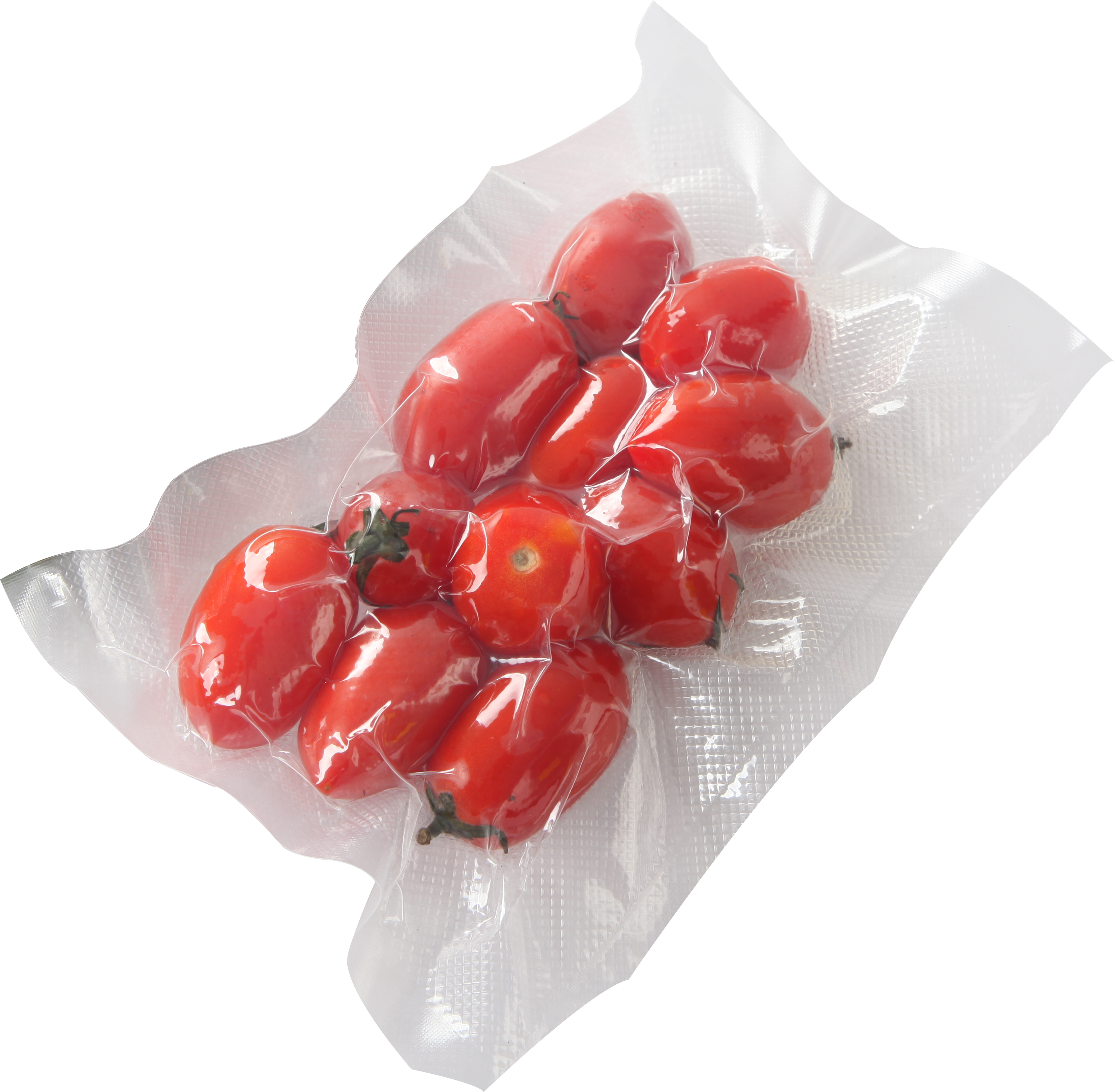 sealer vakum untuk sayuran