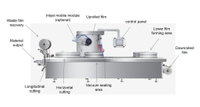 //iprorwxhnjjmlm5p-static.micyjz.com/cloud/lpBprKlnlkSRmkkpjoqliq/thermoforming-packaging-machine.jpg