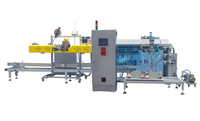//iprorwxhnjjmlm5p-static.micyjz.com/cloud/lqBprKlnlkSRqlnrokljio/plastic-pellets-packaging-line.jpg