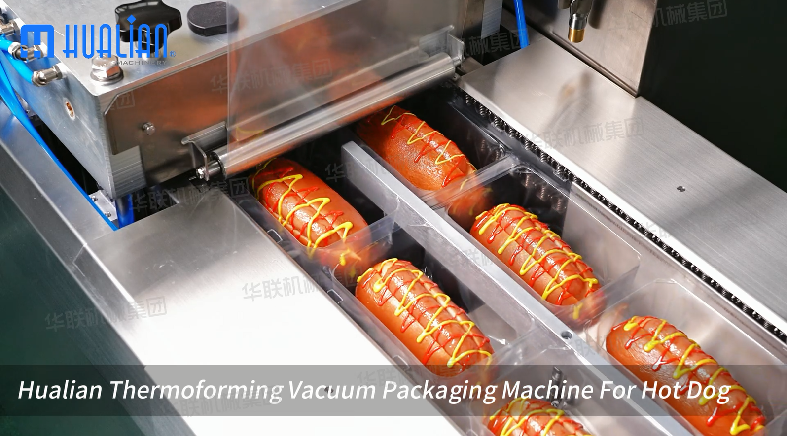 mesin pengemas thermoforming untuk hot dog.png